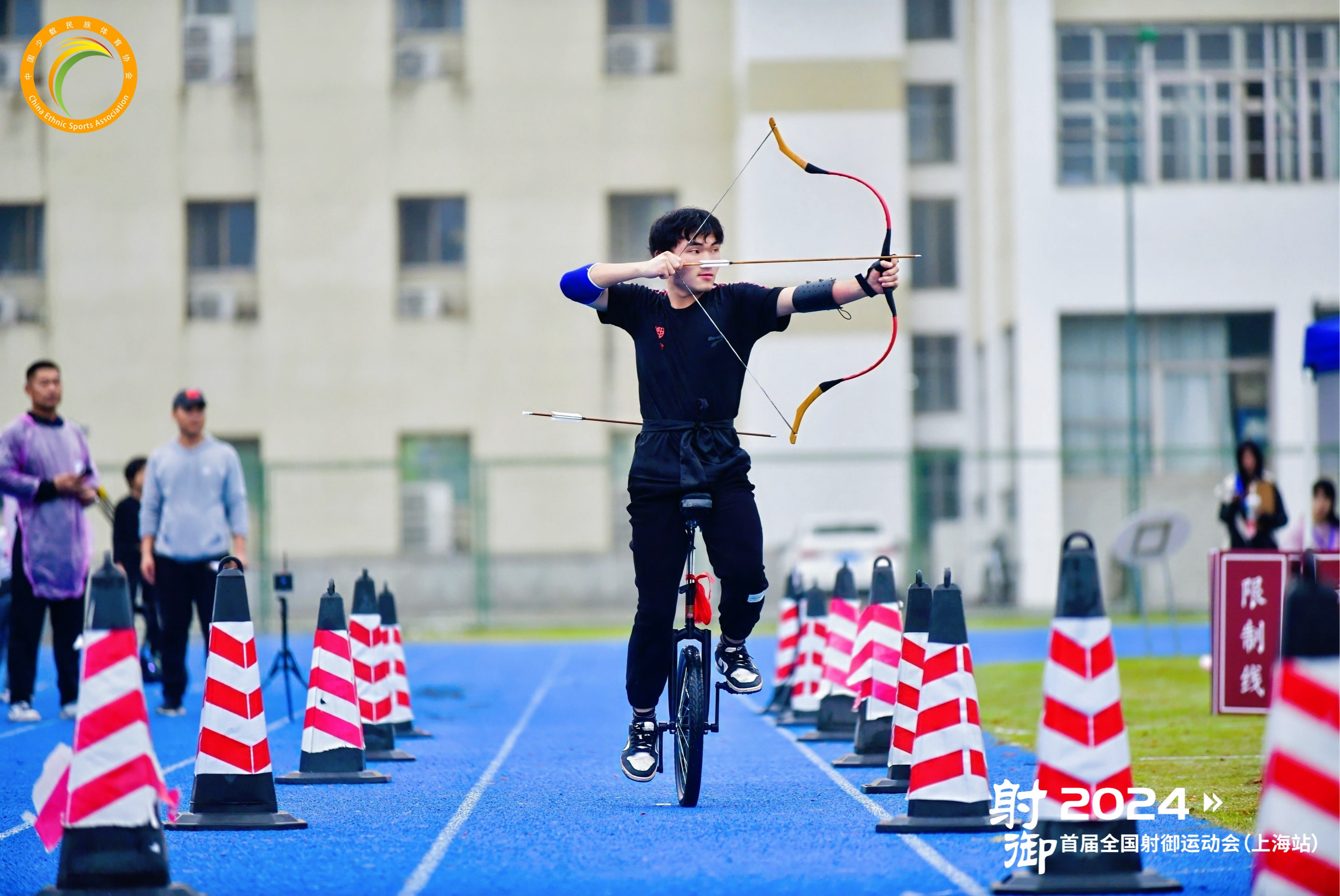 关于运动之星闪耀登场，世界体育焕发新生的信息