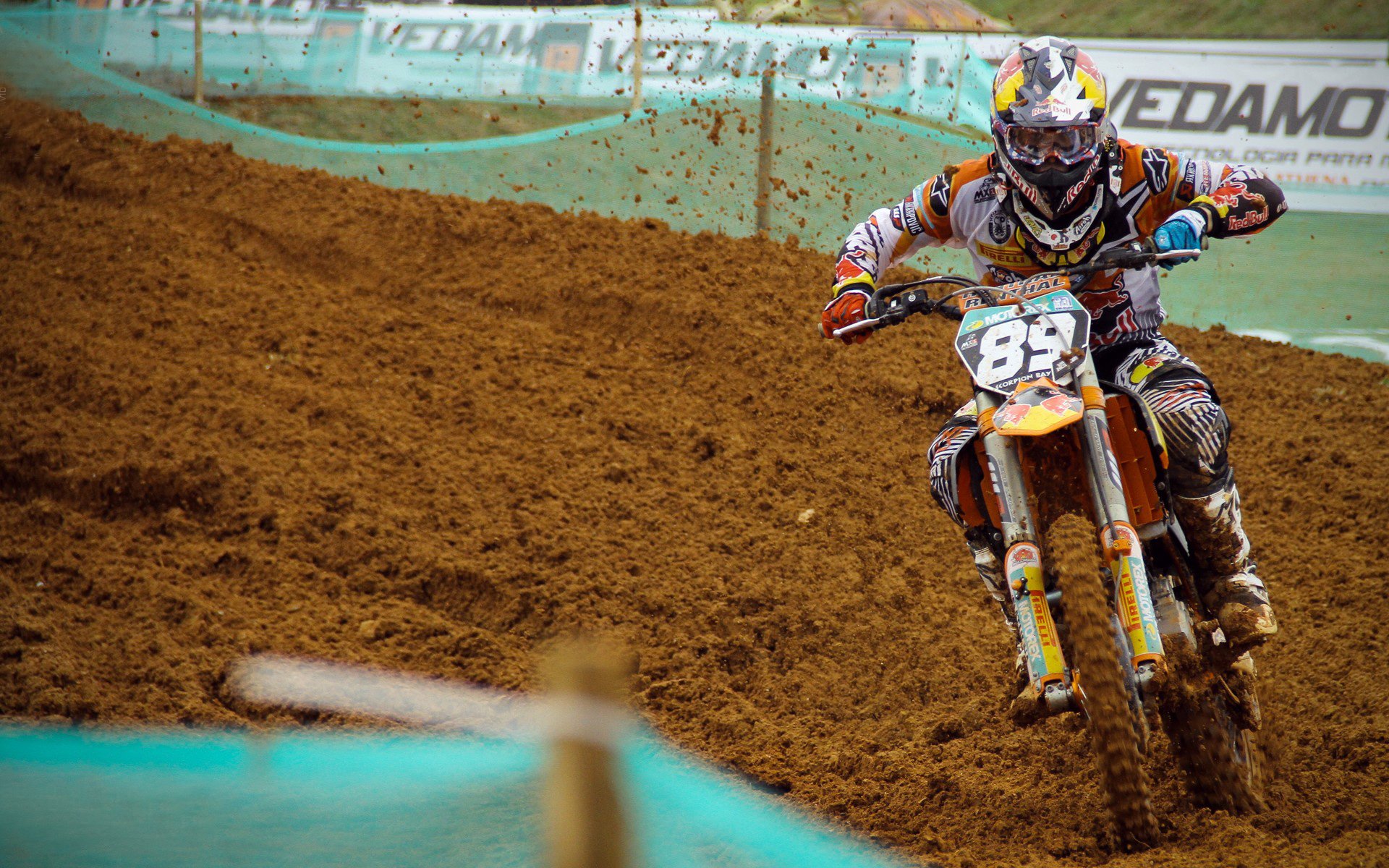 四年后,他选择为世界而战